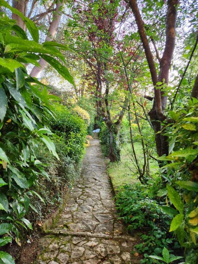 Le Jardin Sarlat Bed & Breakfast Exterior foto
